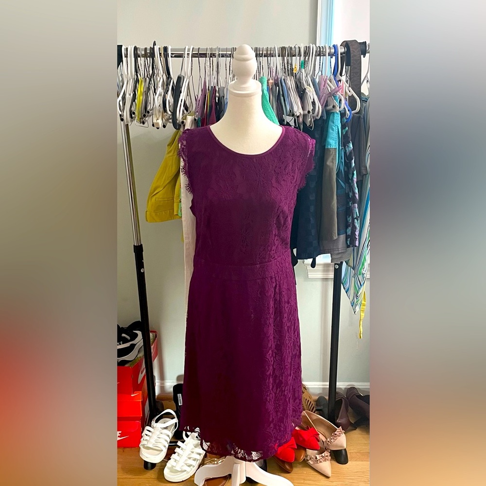 Purple lace dress by BRIXON Ivy